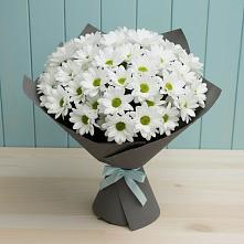 Букет цветов из:  Хризантемы в Чемодановке