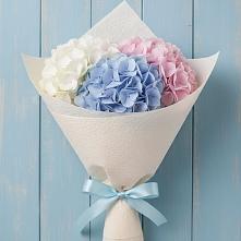 Букет цветов из:  Гортензия #REPLACE_PRED# Чемодановке