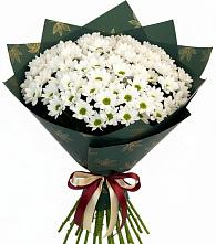 Букет цветов из:  Хризантемы #REPLACE_PRED# Чемодановке