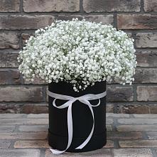 Цветочная композиция из Гипсофила в шляпной коробке в Чемодановке