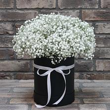 Цветочная композиция из Гипсофила в шляпной коробке в Чемодановке