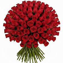 Букет Красные розы Чери Лав в Чемодановке