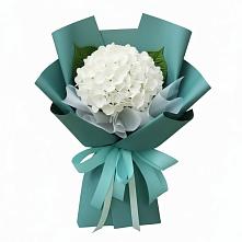 Букет цветов из:  Гортензия в Чемодановке